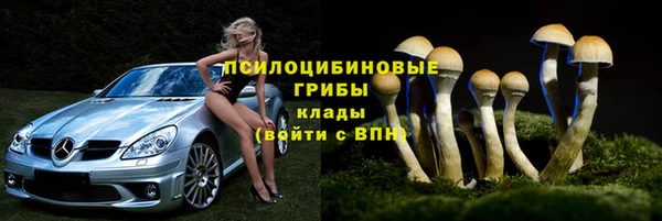 амф Краснотурьинск