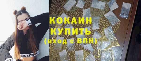 бошки Болотное