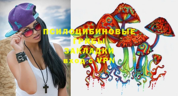 гидра Осташков