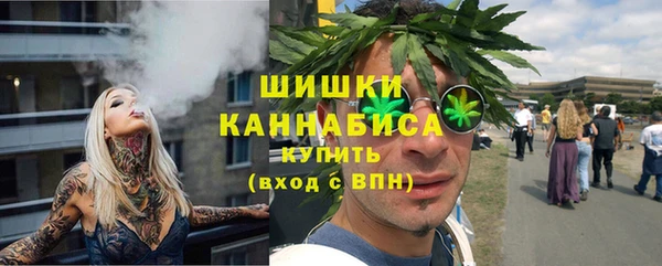 дживик Щучье