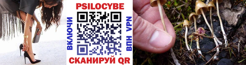 Галлюциногенные грибы Psilocybine cubensis  Байкальск 